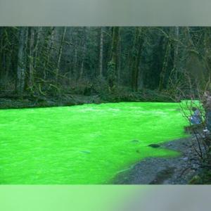 Флуоресцеин натрия (Уранин А)