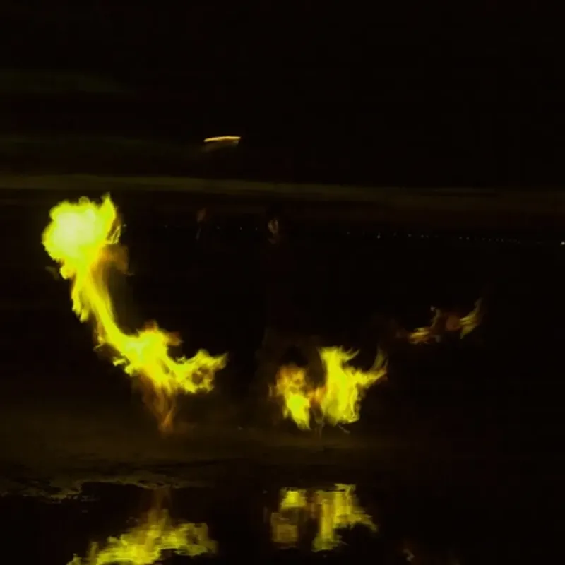 Ликопалка®