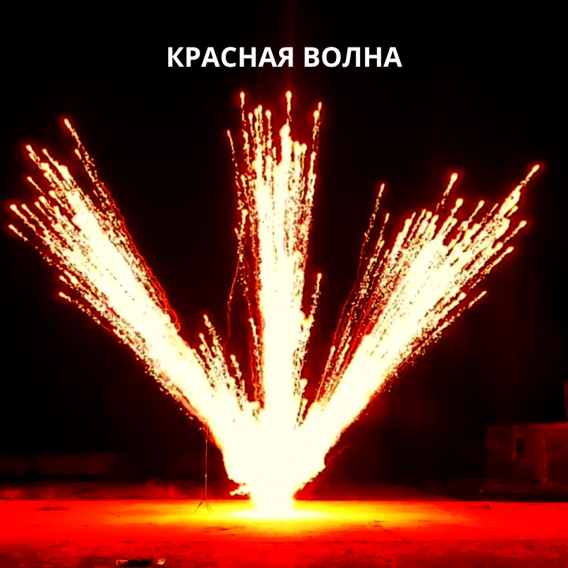 Бурачки