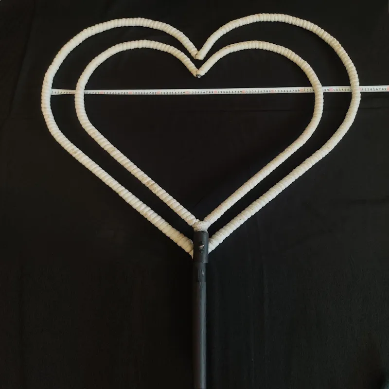 Сердце огненное